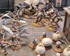 Galak et ses Kroots endoctrins