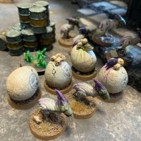 Galak et ses Kroots endoctrins