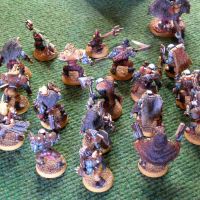 Bruno Grelier et ses Sauvages