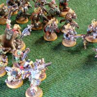 Bruno Grelier et ses Sauvages