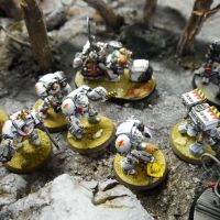 Larg' et sa combo White Scars / Mechanicum